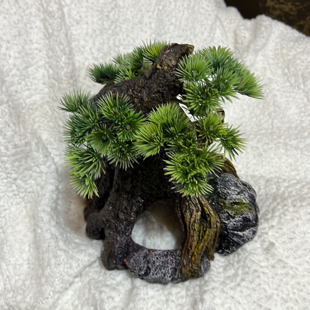 Tree Trunk Decor Aquarium Fish Tank or Witchcraft Wood Decor Home Centerpiece